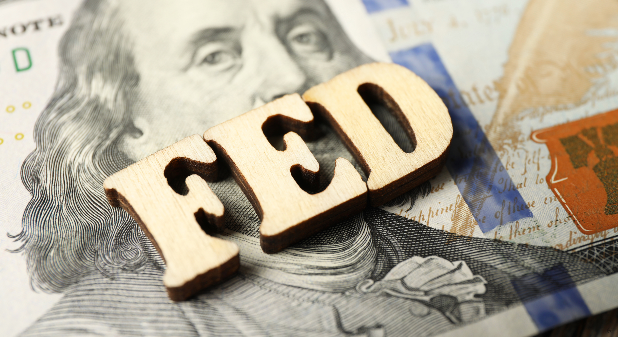 Alan-Stalcup_-Dont-Fight-the-Feds